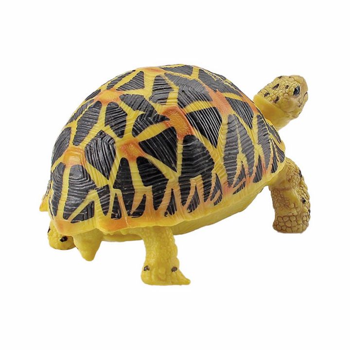 Đồ Chơi Động Vật Rùa: Chú rùa nhỏ của bạn sẽ rất vui mừng với bộ đồ chơi động vật rùa đầy màu sắc! Cho phép các bé khám phá thế giới động vật và rèn luyện khả năng sáng tạo và tư duy thông qua trò chơi ngộ nghĩnh này.