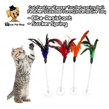 Shop Spring Fish Cat Toy with great discounts and prices online - Jan 2024