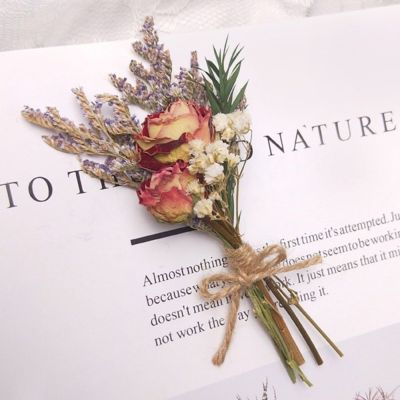 【LZ】△♂❉  Colorido Mini Real Gypsophila Bouquets hastes de plantas naturais adereços foto artesanato DIY decoração do casamento novo colorido