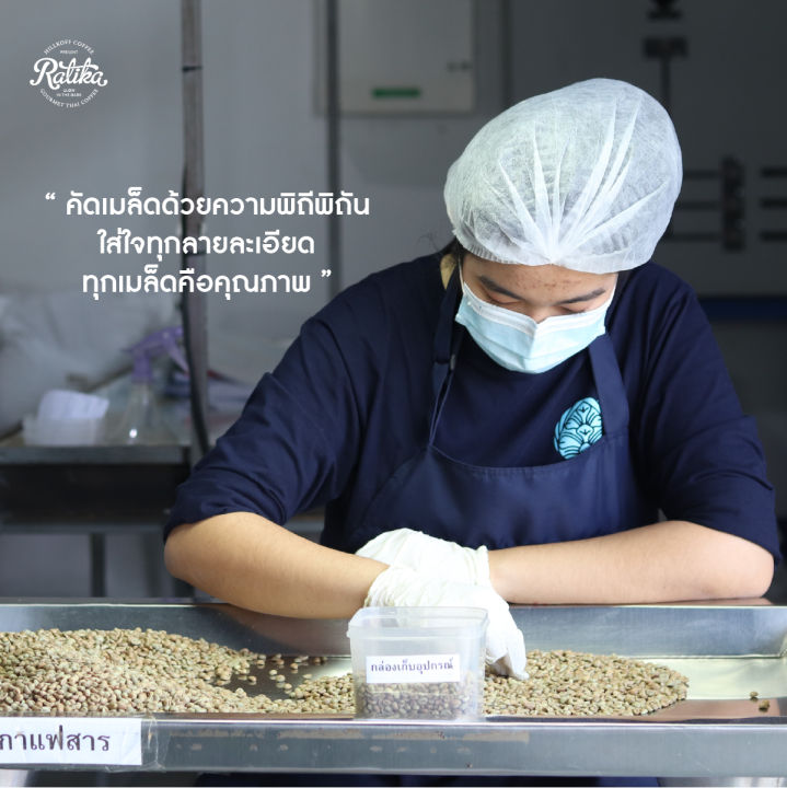 ratika-green-bean-green-bean-wet-22-23-arabica-huai-san-peaberry-1-kg-เมล็ดกาแฟสาร-ห้วยส้าน-peaberry