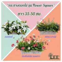 ✍ดอกไม้กระถางราง รุ่น FloraSquare มี 16 แบบให้เลือก ดอกไม้ปลอม ดอกไม้ประดิษฐ์ Leeartplants✹