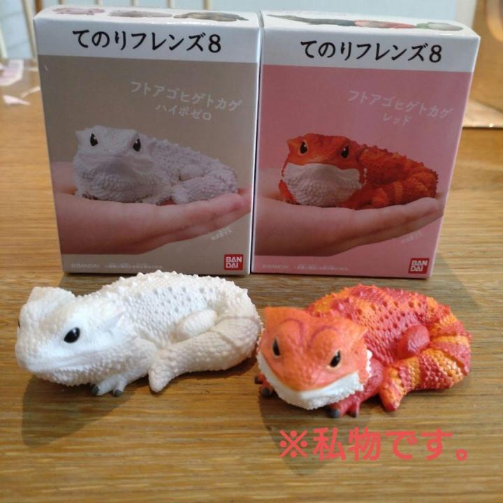 แยก-bearded-dragon-lizard-bandai-tenori-friends-8-โมเดลสัตว์-กิ้งก่า-กิ้งก่ามังกรเครา-เบียร์ดดราก้อน