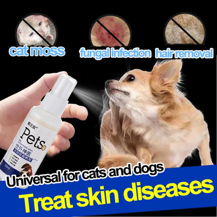 100% effective Dog spray for skin allergy Dog skin disease treatment ...