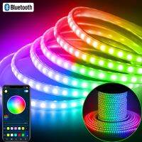 CW 220V DreamcolorStripRGB Color ChasingRope Strip Bluetooth RGBIC Tape APPMultiple Colors onLine