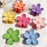 【YF】❀✢✲  2023 Color Frosted Hair Clip Hairpin for Korean Colored Claws Headwear Wholesale