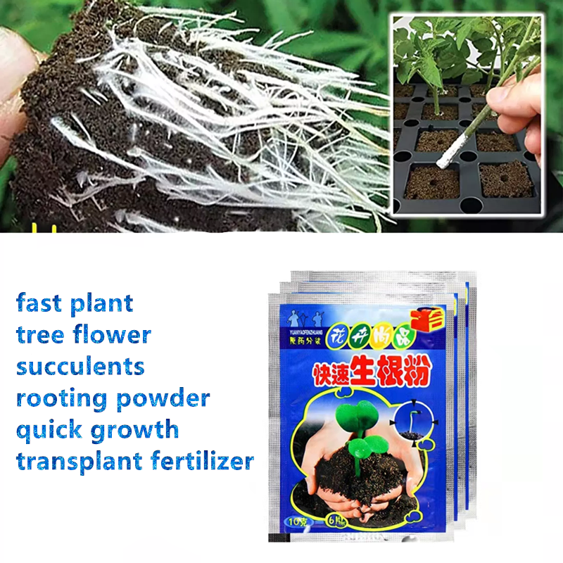 3pc 10g Rooting Powder Plant Rapid Rooting Agent Hormone Growing Root Seedling 