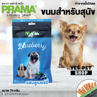 ขนมหมา สติ๊กนิ่ม สำหรับสุนัข PRAMA Delicacy Snack พราม่า เดลิคาซี่ สแน็ค ทำจากเนื้อไก่สด (รสบลูเบอร์รี่) ขนาด 70 กรัม โดย Yes Pet Shop