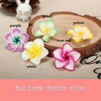 【YD】 10pcs/lots 25mm Mixed Polymer Clay Charms  Frangipaniers Plumeria Beads Making Necklace Jewelry Accessories