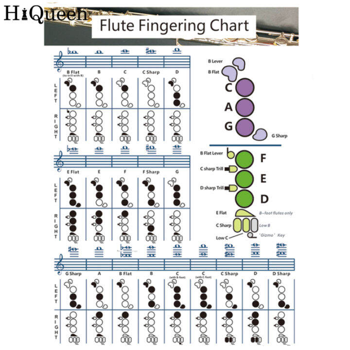 Large Flute Chords Poster Finger Placement Flute Chords Theory Poster