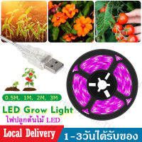 ไฟเส้นปลูกต้นไม้ โคมไฟปลูกพืช LED Strip 0.5/1/2/3เมตร ไฟสเปคตรัมแบบเส้น ไฟปลูกต้นไม้ ไฟปลูกพืช ไฟเพาะต้นกล้า แบบชาร์จ USB ไม่กันน้ำ J53