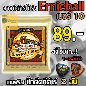 สายกีตาร์โปร่ง ERNIE BALL®  เบอร์ 10 Ernie Ball Earthwood 