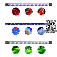 Submersible Aquarium หลอดไฟ LED,สีแดงสีขาวสีฟ้าสีขาวสำหรับปลาสีแดงเลือดนกแก้วปะการัง Reef Marinewater Plants