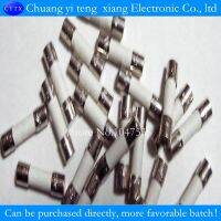 10PCS T4AH 250V ceramic fuse T4A 250V 5x20MM