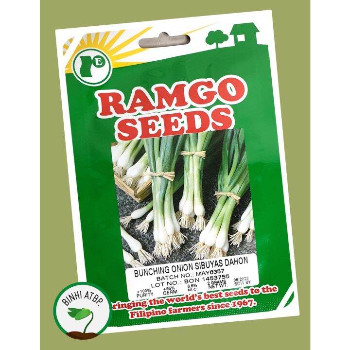 Ramgo Onion Bunching Sibuyas Dahon Scallionsspring Onion Seeds