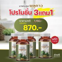 4กระปุก 870.-ส่งฟรี แคปซูลสมุนไพรพลูคาว เสริมภูมิคุ้มกัน ของแท้ จากบริษัท