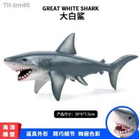 ? ของขวัญ Simulation model of shark solid simulation Marine biology toys the great white animal