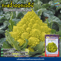 เมล็ดกะหล่ำดอกเจดีย์ ตราภูเขาทอง broccolo romanesco ประมาณ200เมล็ด เมล็ดกะหล่ำดอก เมล็ดพันธุ์กะหล่ำดอก เมล็ดผักสวนครัว