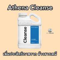 Athena Cleanse ขนาด4 Lเพิ่มประสิทธิภาพราก ล้างสารเคมีตกค้าง