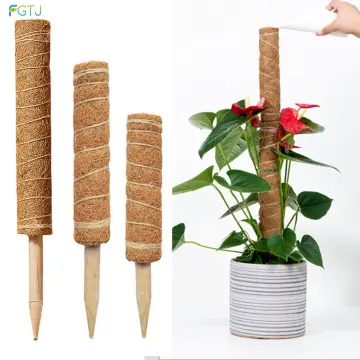 EG【Ready Stock】1.5*500cm Nylon Plant Bandage Ultrathin Velcro Tie Plant  clip plant belt garden tool cheap price Free Ship