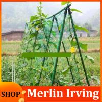 Merlin Irving Shop 4 Sizes Garden Plant Climbing Net Stand Holder Green Nylon Trellis Netting Mesh Support Bean Growing Fence Net Line