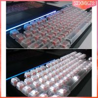 [YYDS] ปุ่มกดคีย์บอร์ด ABS RGB แบบใส เนื้อแมตต์ สําหรับ CHERRY MX Clone Switches