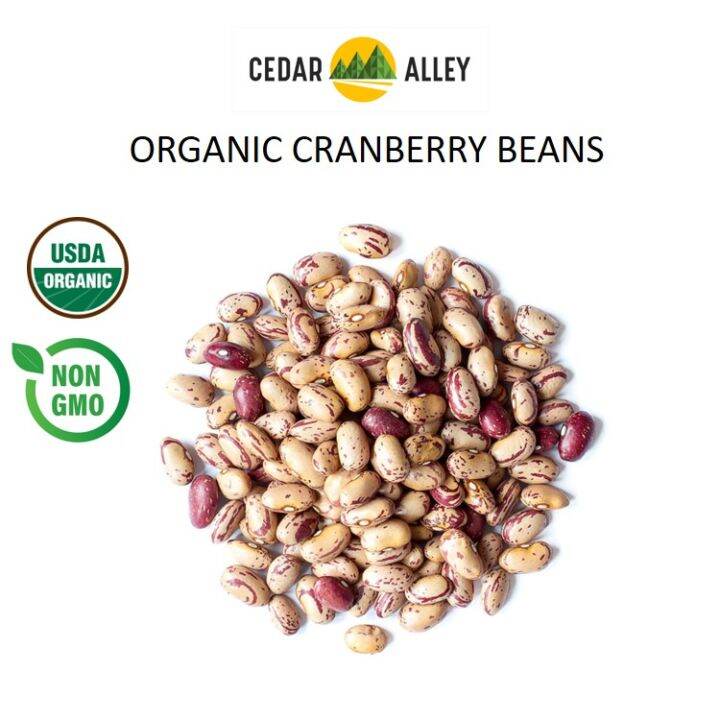 Organic Cranberry Beans 50g / 100g Lazada PH