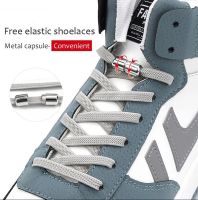 2022 New No Tie Shoelaces Elastic Flat Sneakers Shoe Laces For Kids and Adult Quick Lazy Metal Lock Laces Shoe Strings 23 Colors