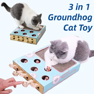 Cat Enrichment Toys for Indoor Cats, Whack a Mole Game Cat Puzzle Toy, Safe  Fun Box Paws Scratcher, Interactive Box Catch Mice Game Cat Puzzle Toy for