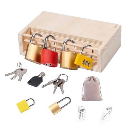 Lock and Key Toy Lock Set Keys Educational Wooden Learning Montessori Materials Gift for Kids Preschool Home Classroom STEM Educational Toys usual