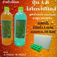 ปุ๋ยไฮโดรโปนิกส์ ปุ๋ยAB ขนาด1000ml ปุ๋ยน้ำ ปุ๋ยเอบี ปุ๋ยสำหรับพืชผล ปุ๋ย Hydroponics แถมฟรี โฟมน้ำ1แผ่น ถาดเพาะ10หลุม