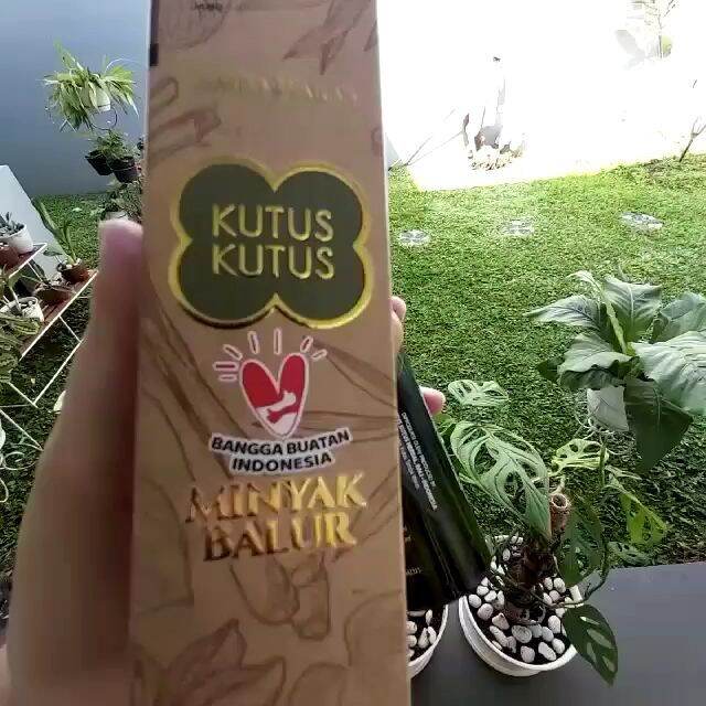 Minyak Balur Kutus Kutus Original 100 Minyak Herbal Asli Buatan