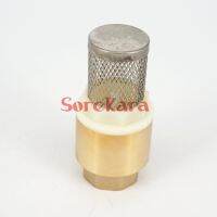 [HOT] 1/2 quot; BSP Female Brass Spring Check Valve With Strainer Filter 1.6Mpa