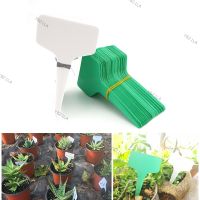 100pcs Plant Tag T Type Plant Markers Label Nursery Pots GardenTool  for Plant Flower Pot Vegetable Tray Sign Card YB21TH