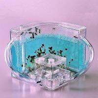 DIY Pet Life Box Ant House Ant Workshop Castle Microbial Observation Childrens Wisdom Enlightenment ของเล่นเด็กใต้ดิน