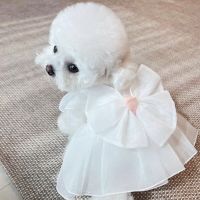 Cute Big Bow Summer Dog Dress Bichon Poodle Small Dog Clothes Thin Section Sarong Solid Color Pet Princess Dress  Pet Clothes Clothing Shoes Accessori