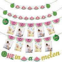 1st Birthday Monthly Banner Watermelon Watermelon Happy Birthday Photo Banner Boy Baby Girls 12 Month Photo Display Party Decor Banners Streamers Conf