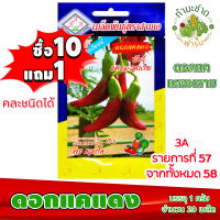 (ซื้อ10แถม1) เมล็ดพันธุ์ ดอกแคแดง Red Agasta ประมาณ 20เมล็ด 3A สามเอ ผักสวนครัว เมล็ดพันธุ์พืช เมล็ดผัก เม็ดผัก พืชผัก