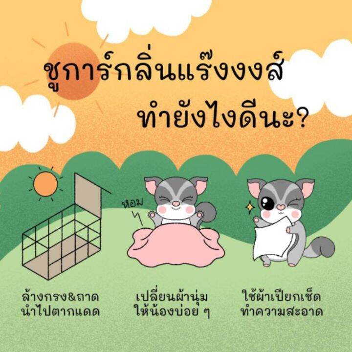 สเปร่ย์อาบน้ำชูก้าร์-แบบแห้ง-ยี่ห้อฮาชิ-hachi-กลิ่นชาขาว-ทำความสะอาดชูก้าสารสกัดธรรมชาติ-อ่อนโยนปลอดภัยสำหรับสัตว์เลี้ยง