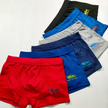 Shop Boxzer Briefs with great discounts and prices online - Mar 2024