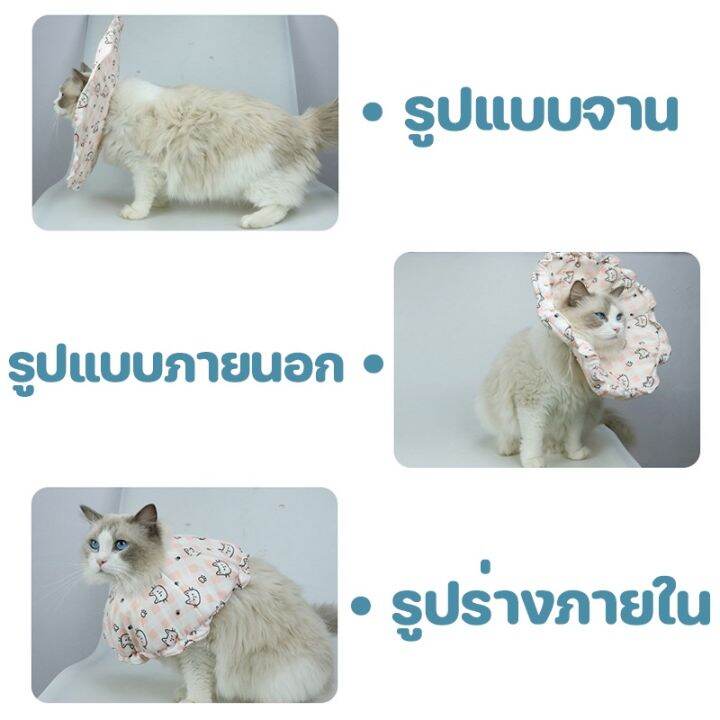 bhq-pet-cod-ปลอกคอกันเลีย-ลำโพงกันเลีย-คอลล่าแมว-ปลอกคอสัตว์เลี้ยง