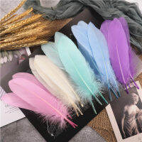 ขายส่ง 15-20 ซม.Hard Stick Goose Feathers NATURAL Swan Pluma หัตถกรรมอุปกรณ์เสริม Dream Catcher Feather ตกแต่ง-final1