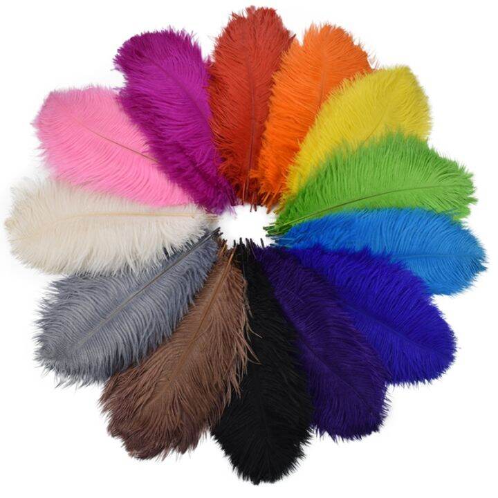 10pcs-lot-colorful-ostrich-feather-centerpieces-for-wedding-table-handicraft-accessories-dream-catcher-plume-carnival-decoration