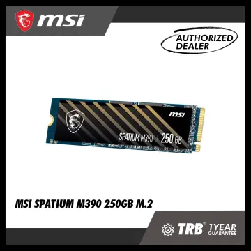 MSI SSD Interne SPATIUM M390 NVMe M.2 250GB