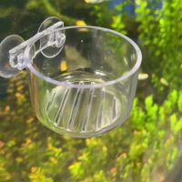 hot【cw】 Aquarium Decoration Hanging Feeder for Glass Pot Planting Cylinder Cup Feeding