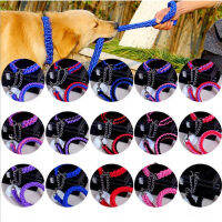 Hot Paracord Dog Leash และ Collar ชุด Double Strand สายจูงสัตว์เลี้ยงโลหะ P หัวเข็มขัดลูกสุนัขเชือกลากสำหรับสุนัขขนาดกลางขนาดเล็ก