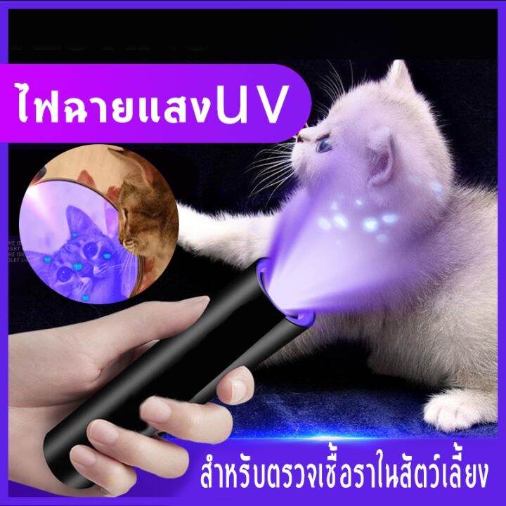 โปรแรง-ไฟฉายแสง-uv-สำหรับตรวจเชื้อราในสัตว์เลี้ยง-ช่วยยืนยันจุดที่เกิดเชื้อราได้ชัดเจน-ไฟฉายยูวี-365nm-สุดคุ้ม-ไฟฉาย-ไฟฉาย-แรง-สูง-ไฟฉาย-คาด-หัว-ไฟฉาย-led