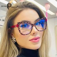 Cat Eye Glasses Women Vintage Computer Eyeglasses Oversized Double Color Optical Glasses Anti Blue Light Blocking Eyewear TR90