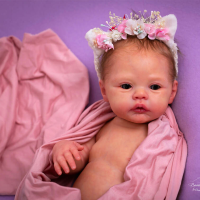 17inch Premie Size Reborn Meadow Doll Kit Popular Soft Touch Lifelike Fresh Color Reborn Baby Doll 43cm