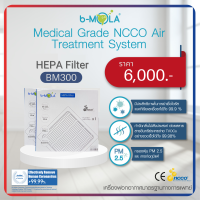 แผ่นกรอง HEPA Filter รุ่น BM300 (2pcs/set)