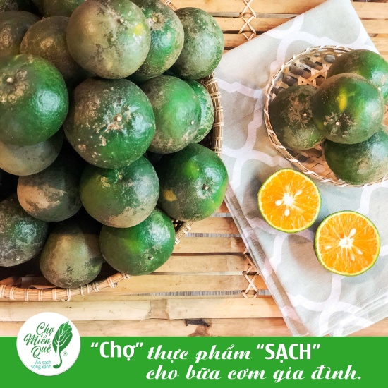 Cam sành hữu cơ - 1kg - ảnh sản phẩm 2